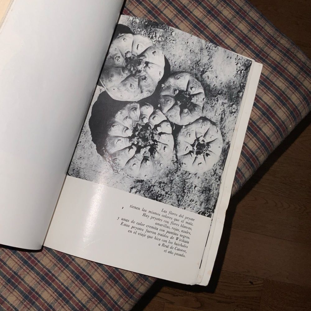 1968 peyote ramon mata torres vintage book photography prints spanish‎ - Picture 7 of 9